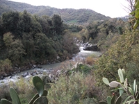 cantara gurne23122011 113